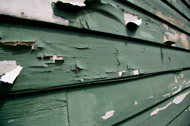 Best Junk Removal for Events  in Kaser, NY